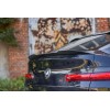 Becquet Bmw X4 M-Pack (G02)