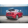 Becquet Spoiler Citroen Ds4